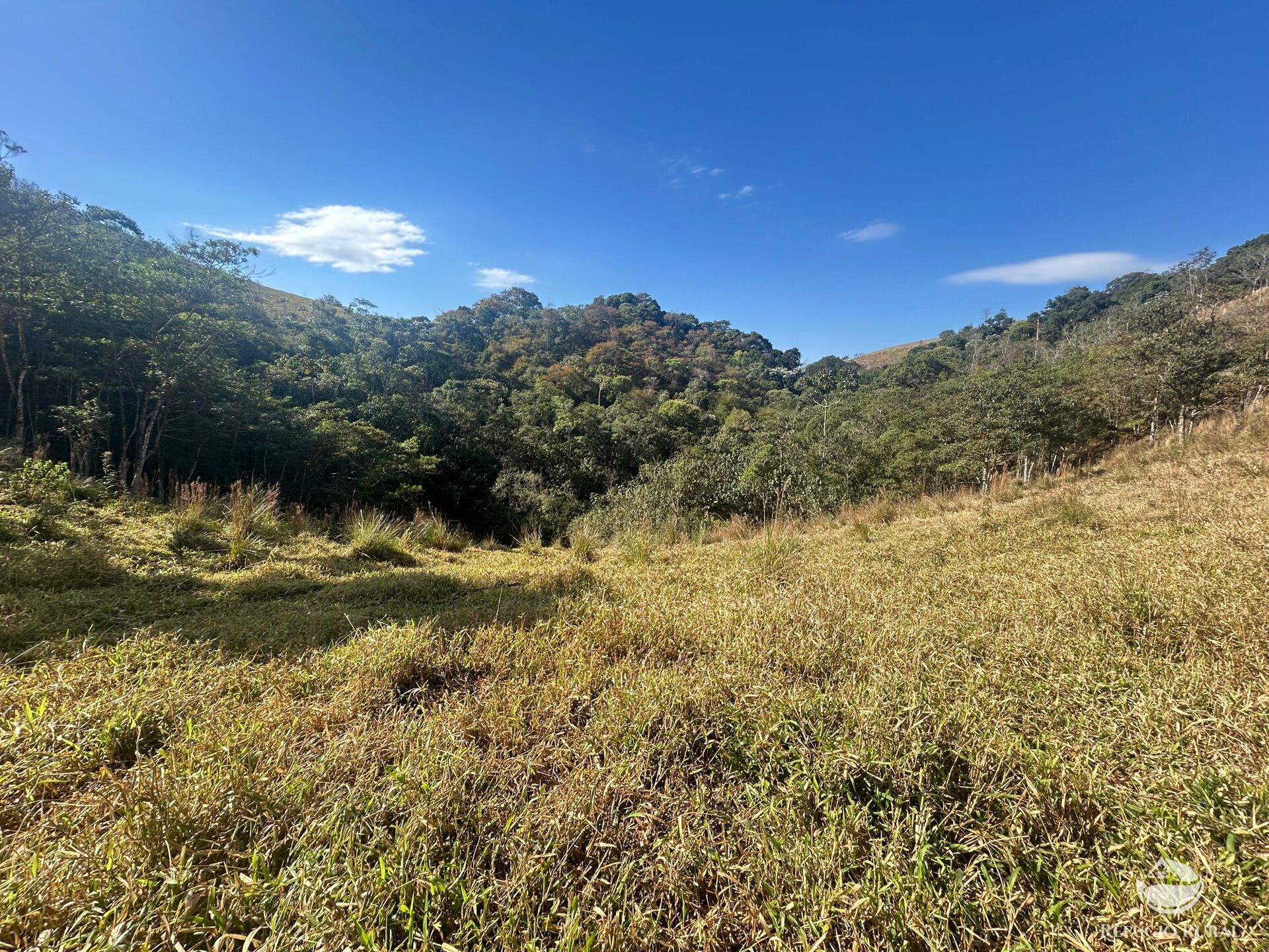 Terreno, 5 hectares - Foto 17