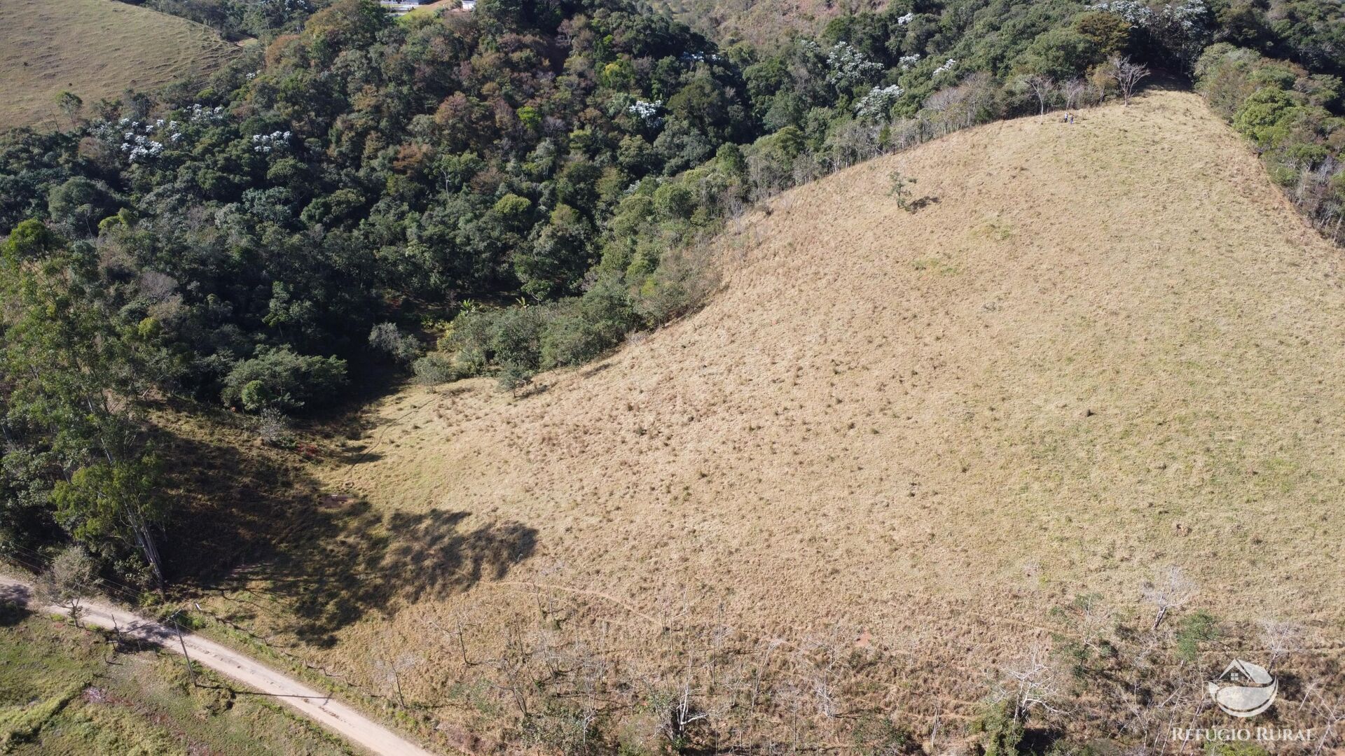 Terreno, 5 hectares - Foto 6
