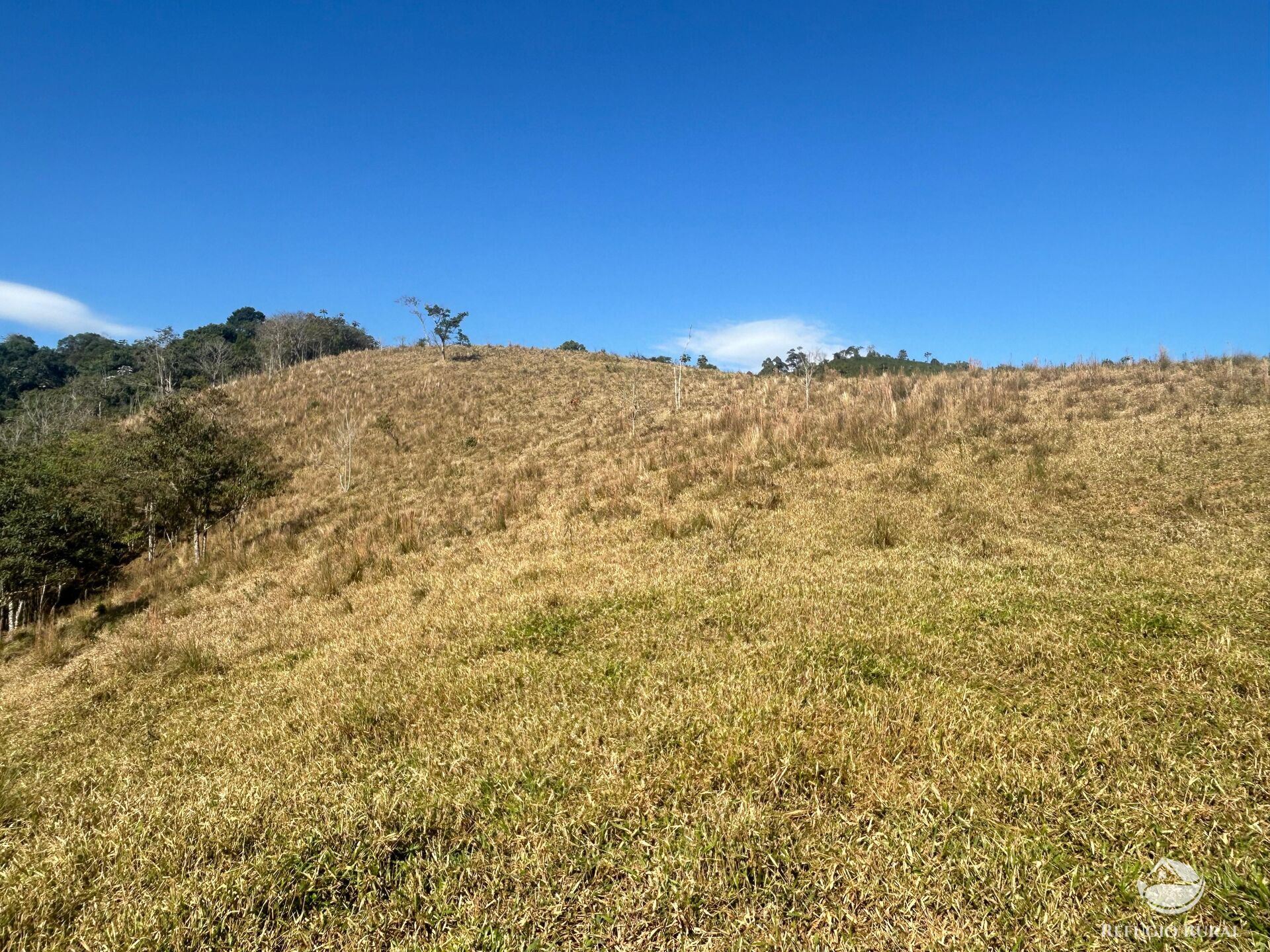 Terreno, 5 hectares - Foto 16