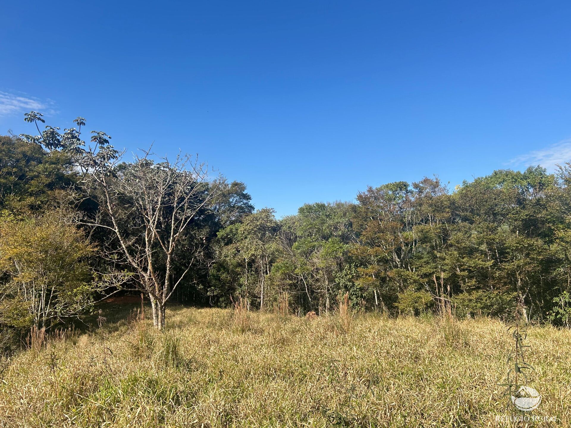 Terreno, 5 hectares - Foto 12