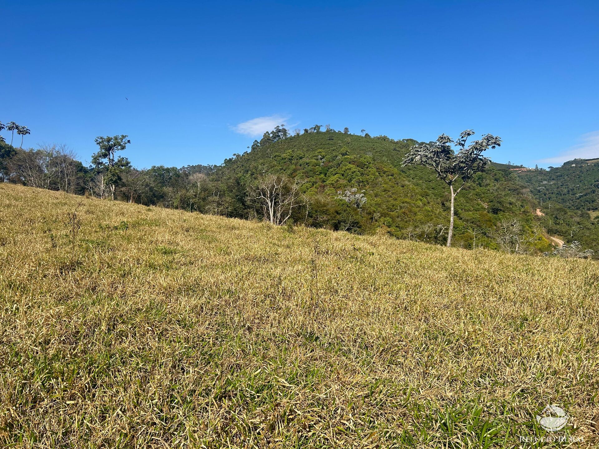 Terreno, 5 hectares - Foto 20