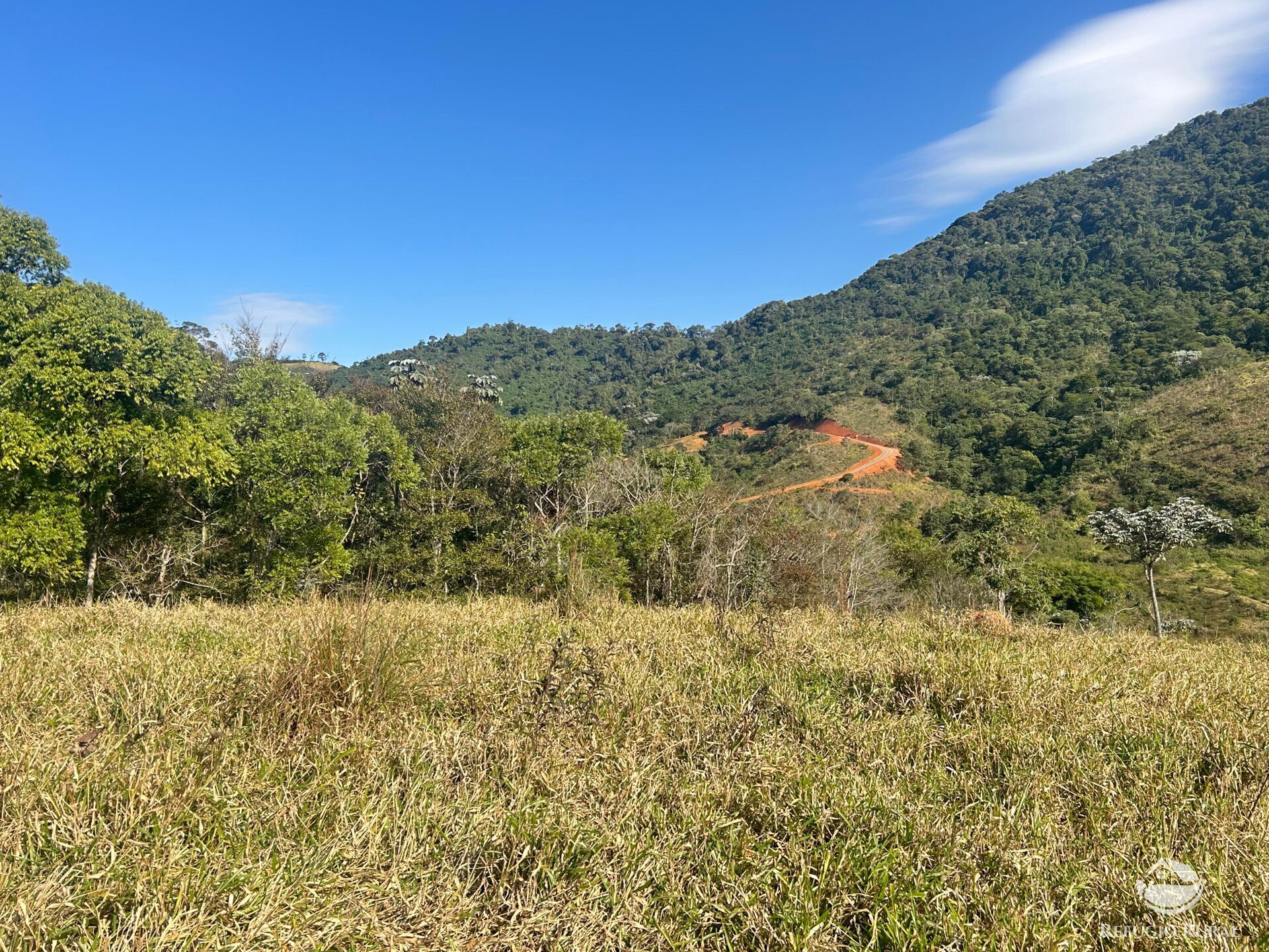 Terreno, 5 hectares - Foto 4