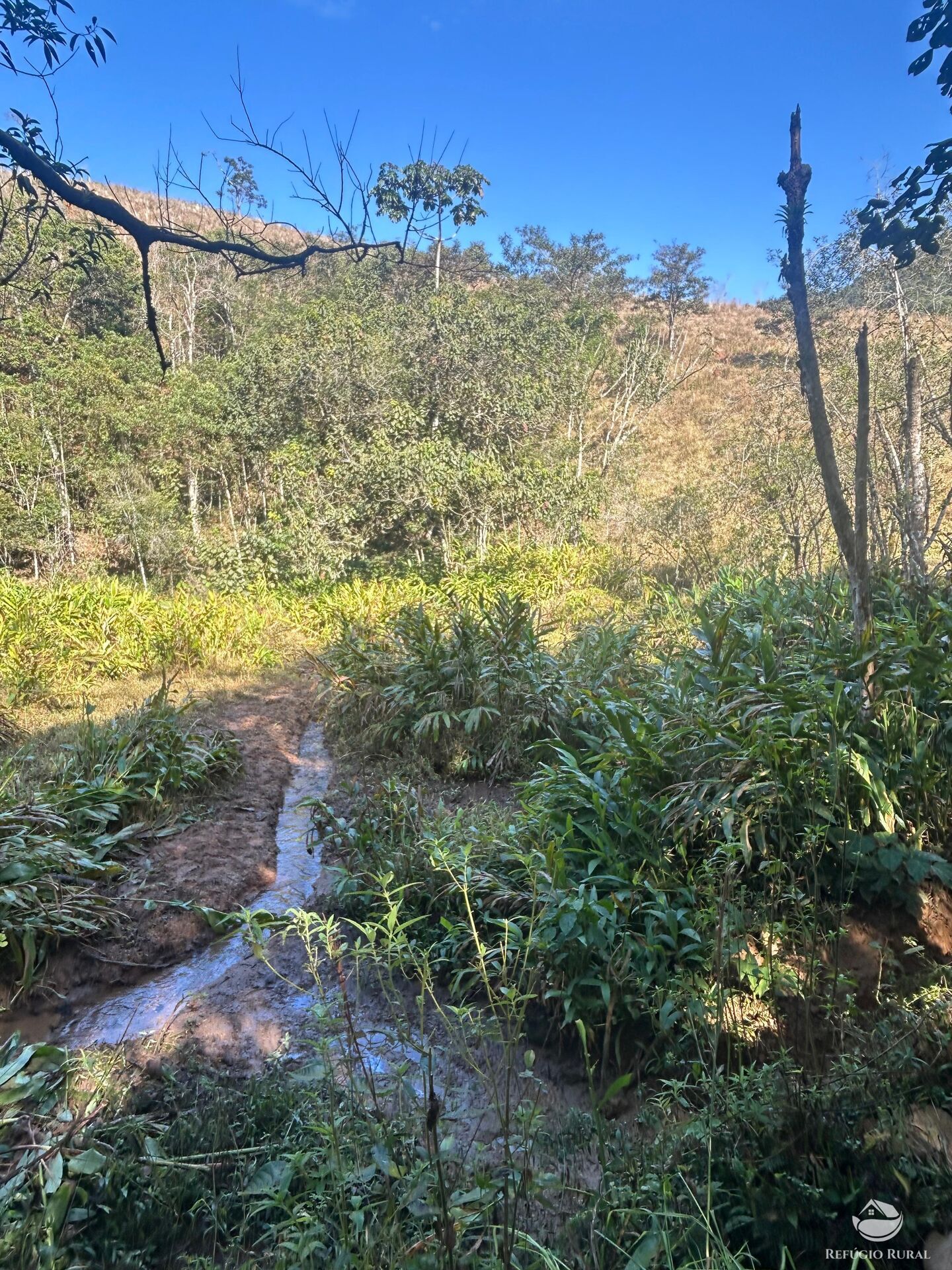 Terreno, 5 hectares - Foto 14