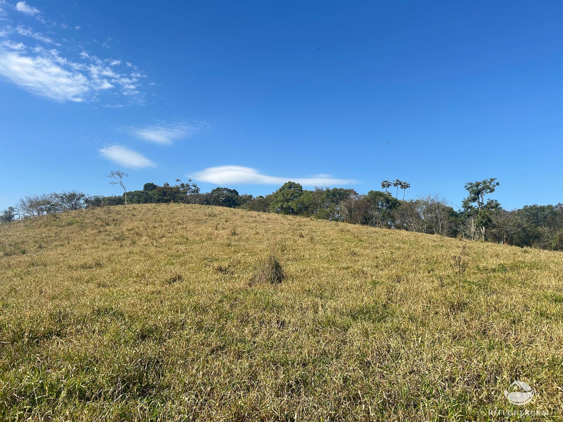 Terreno, 5 hectares - Foto 19
