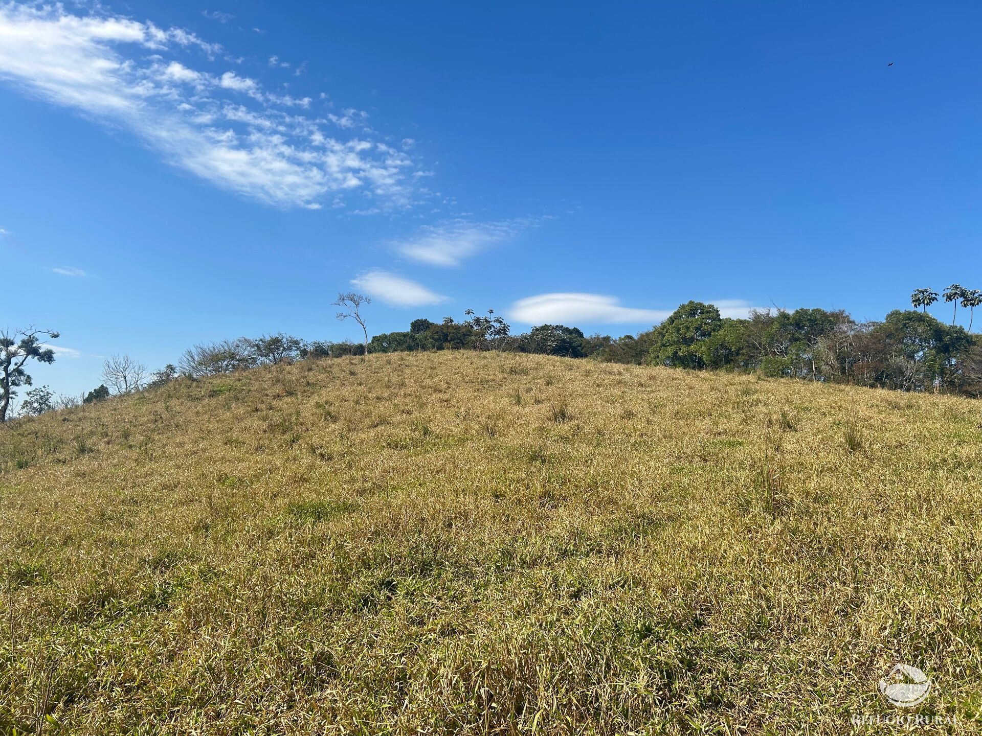 Terreno, 5 hectares - Foto 9