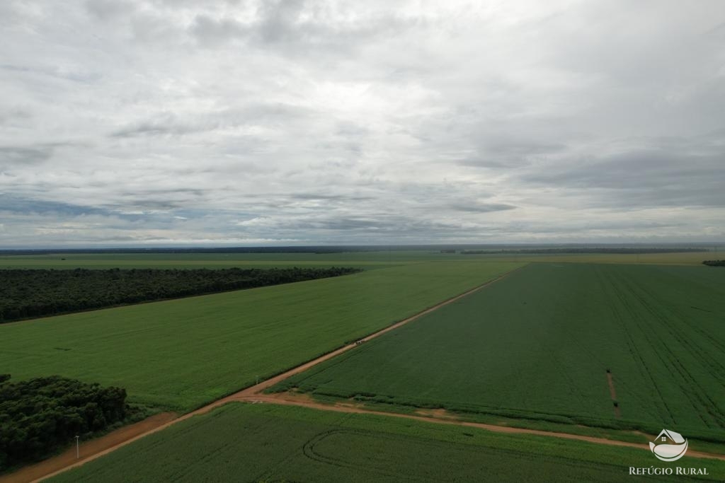 Fazenda à venda com 1 quarto, 14500000m² - Foto 2