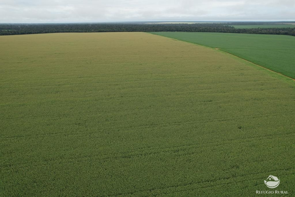 Fazenda à venda com 1 quarto, 14500000m² - Foto 4