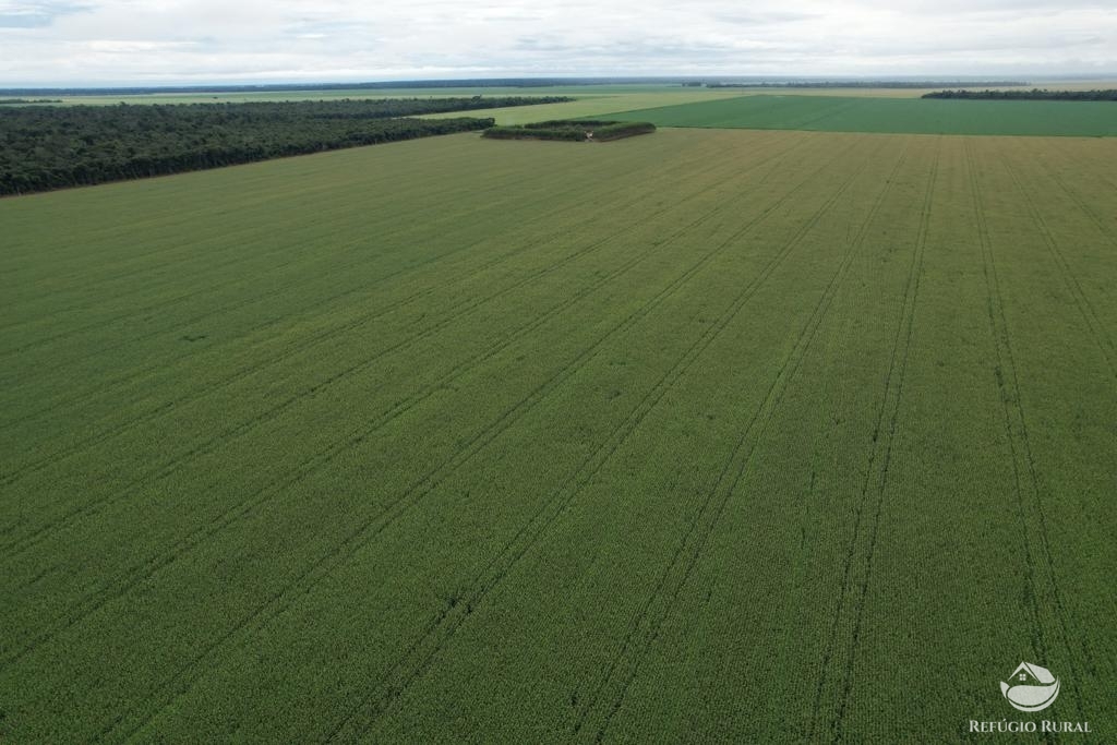 Fazenda à venda com 1 quarto, 14500000m² - Foto 3