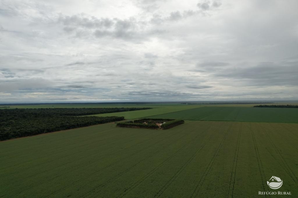 Fazenda à venda com 1 quarto, 14500000m² - Foto 6