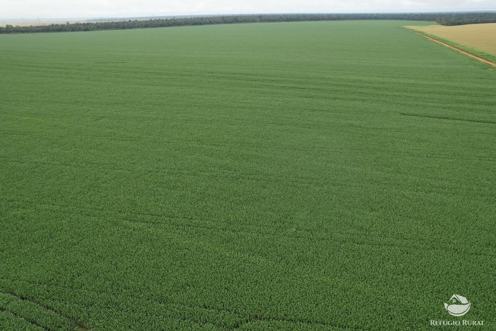 Fazenda à venda com 1 quarto, 14500000m² - Foto 5