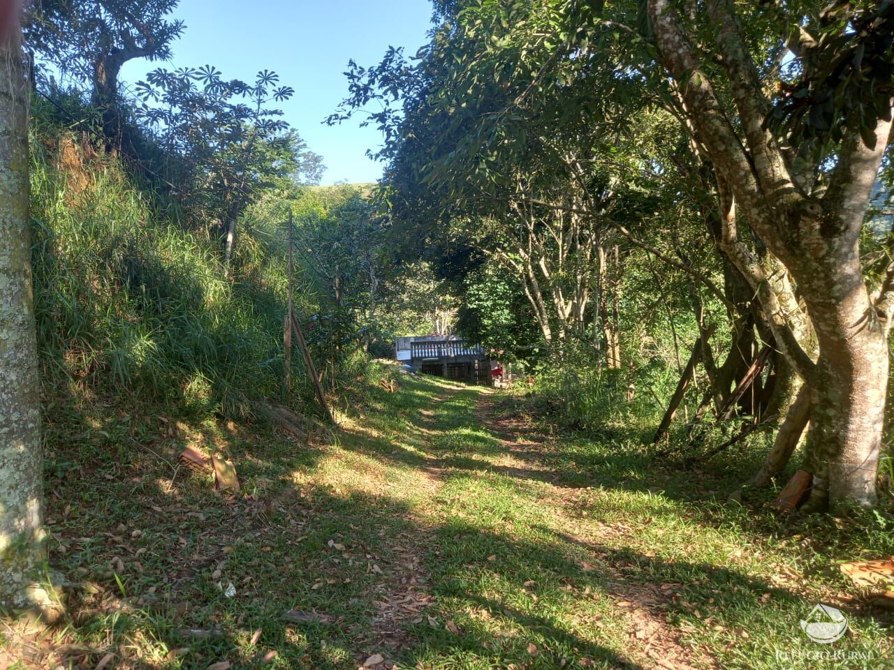 Fazenda à venda com 2 quartos, 21300m² - Foto 16