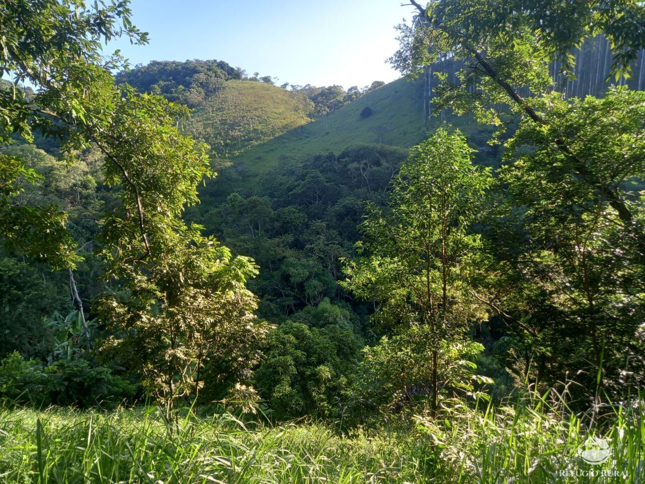 Fazenda à venda com 2 quartos, 21300m² - Foto 3