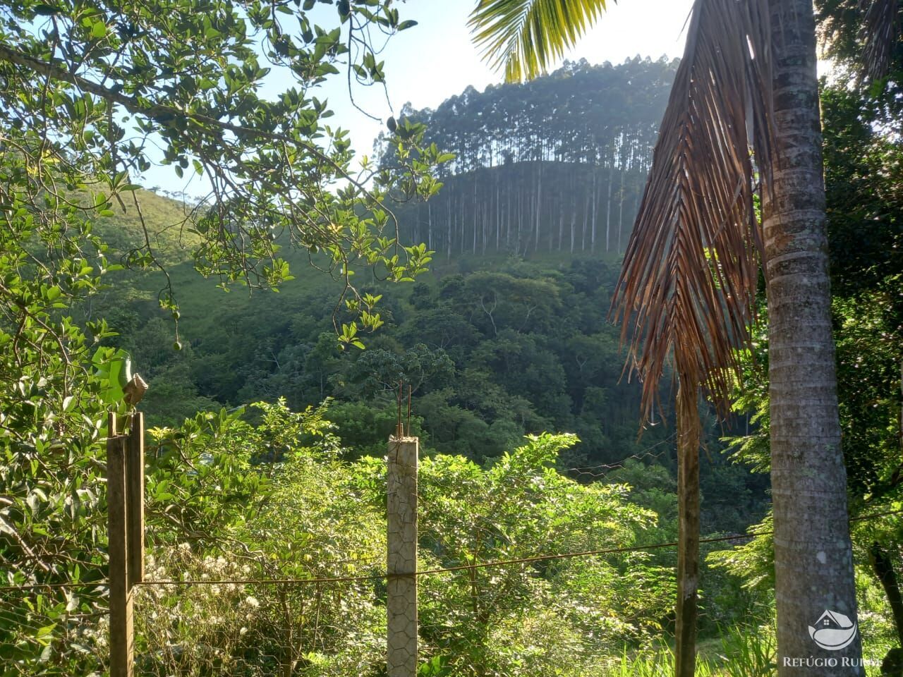 Fazenda à venda com 2 quartos, 21300m² - Foto 2