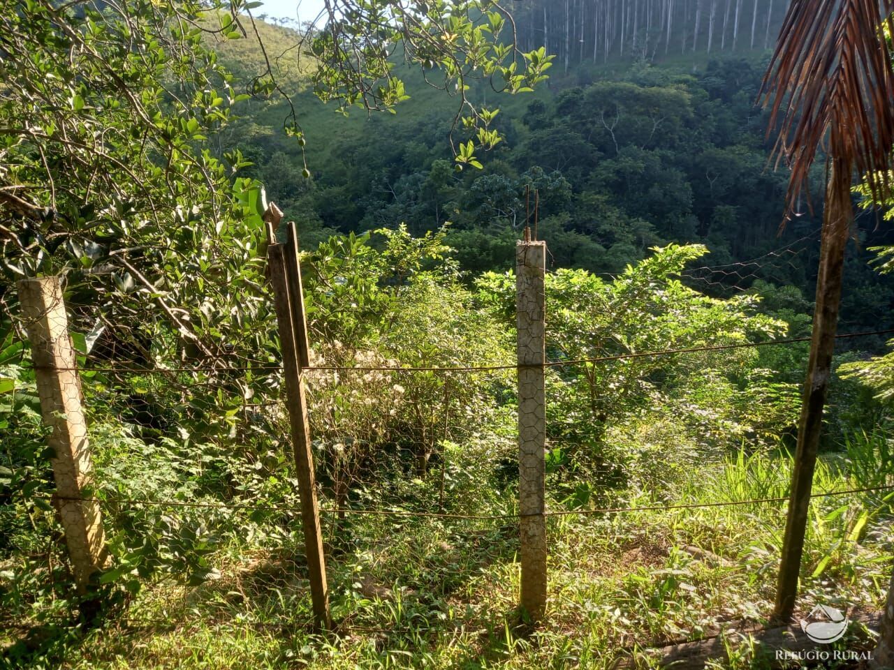 Fazenda à venda com 2 quartos, 21300m² - Foto 9