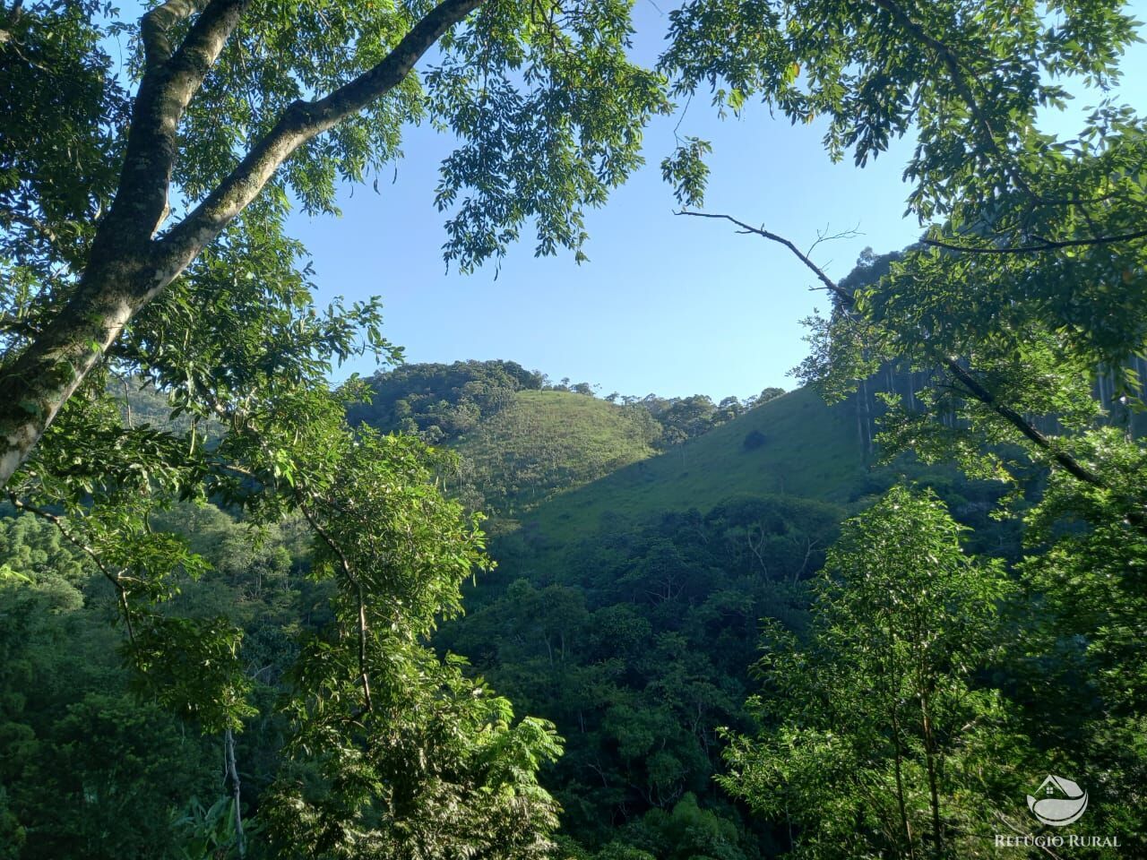 Fazenda à venda com 2 quartos, 21300m² - Foto 14