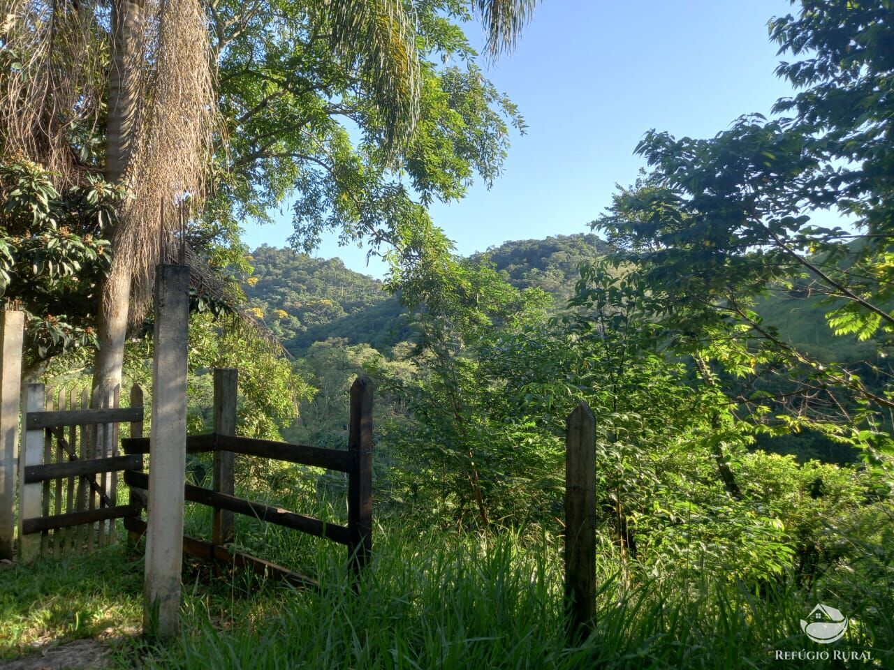 Fazenda à venda com 2 quartos, 21300m² - Foto 12