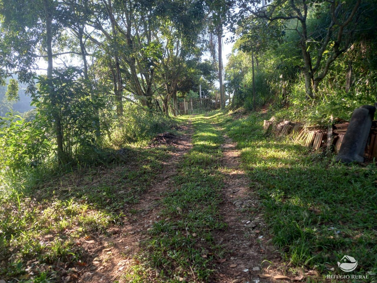 Fazenda à venda com 2 quartos, 21300m² - Foto 13