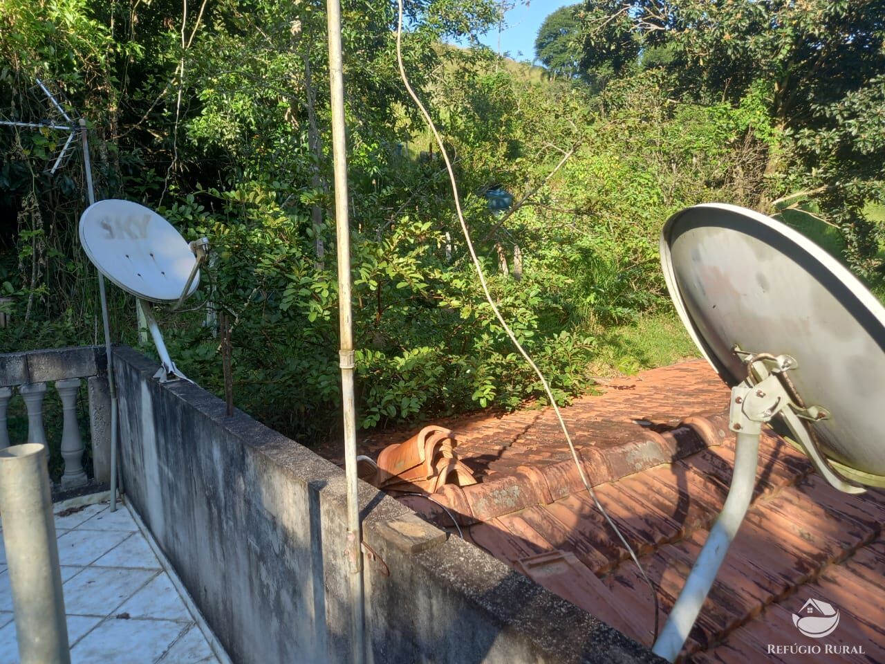 Fazenda à venda com 2 quartos, 21300m² - Foto 10