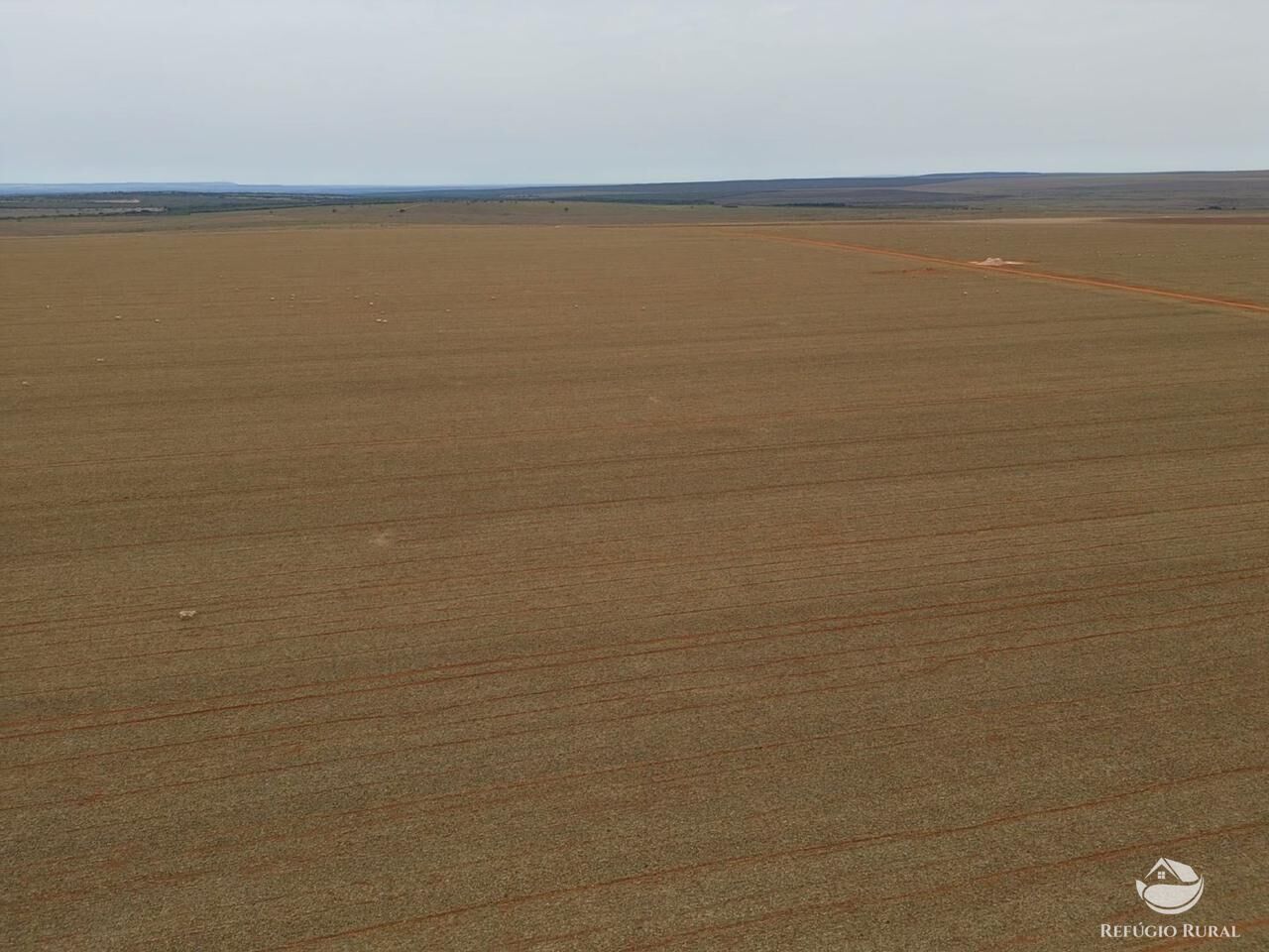 Fazenda à venda com 3 quartos, 178440000m² - Foto 2