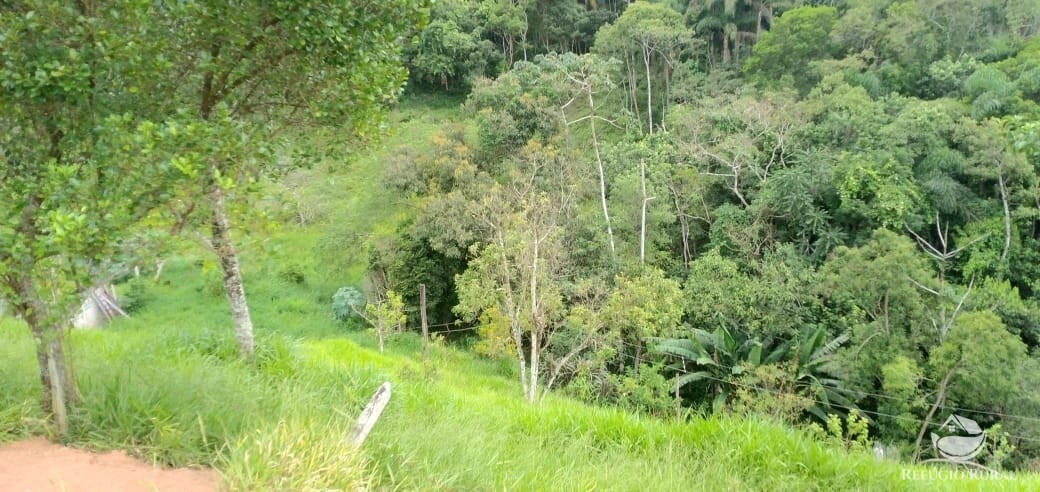 Terreno à venda, 22000m² - Foto 21