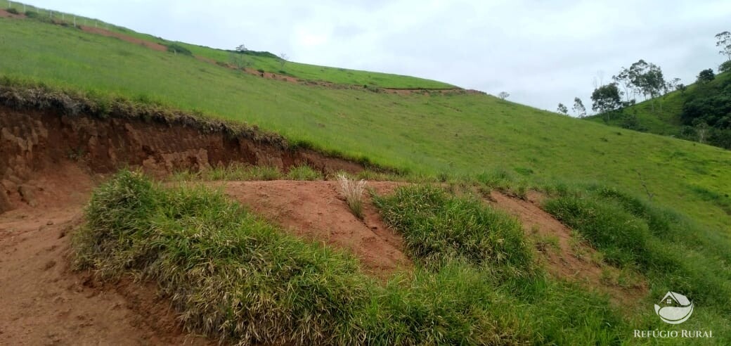 Terreno à venda, 22000m² - Foto 13