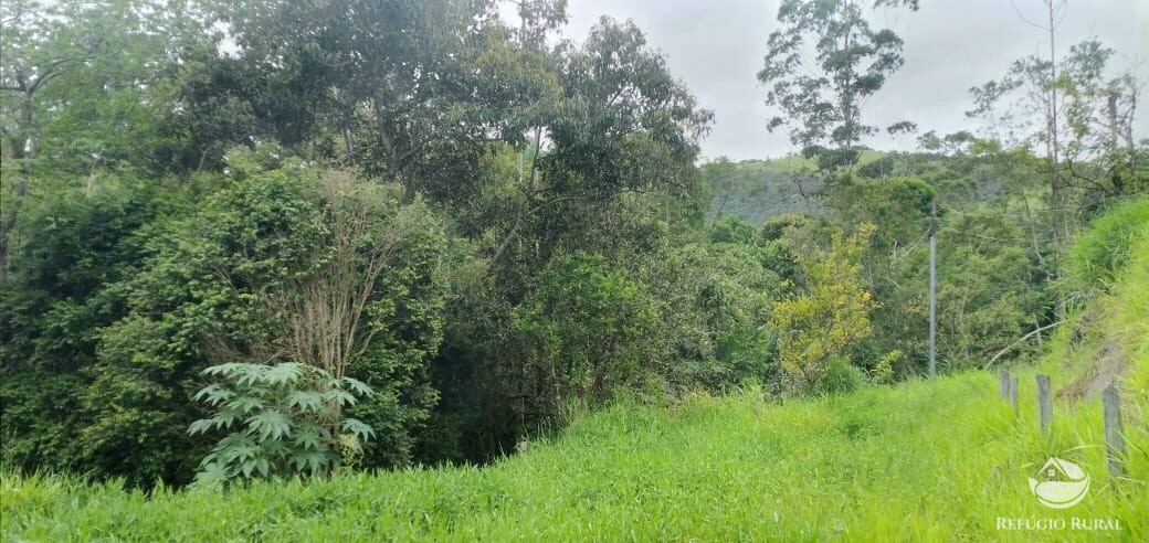 Terreno à venda, 22000m² - Foto 5