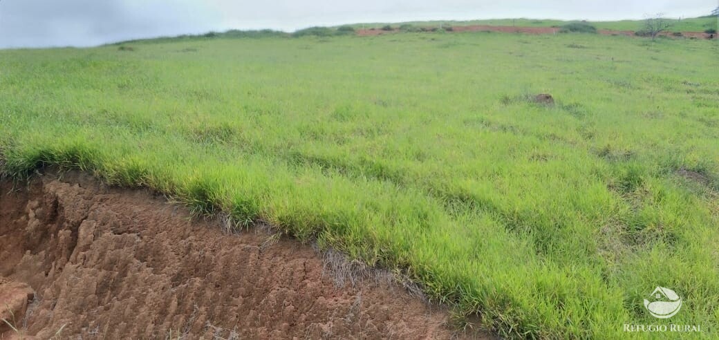 Terreno à venda, 22000m² - Foto 15