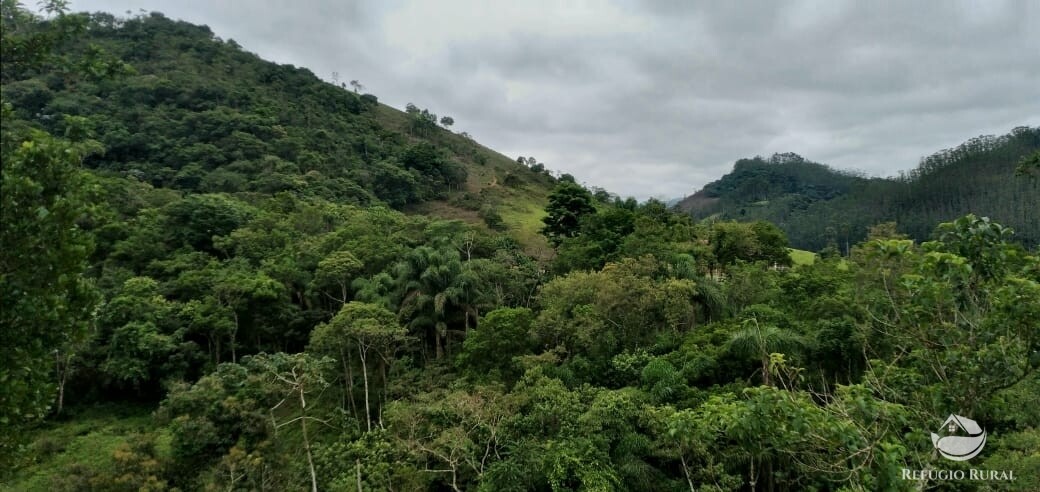 Terreno à venda, 22000m² - Foto 11