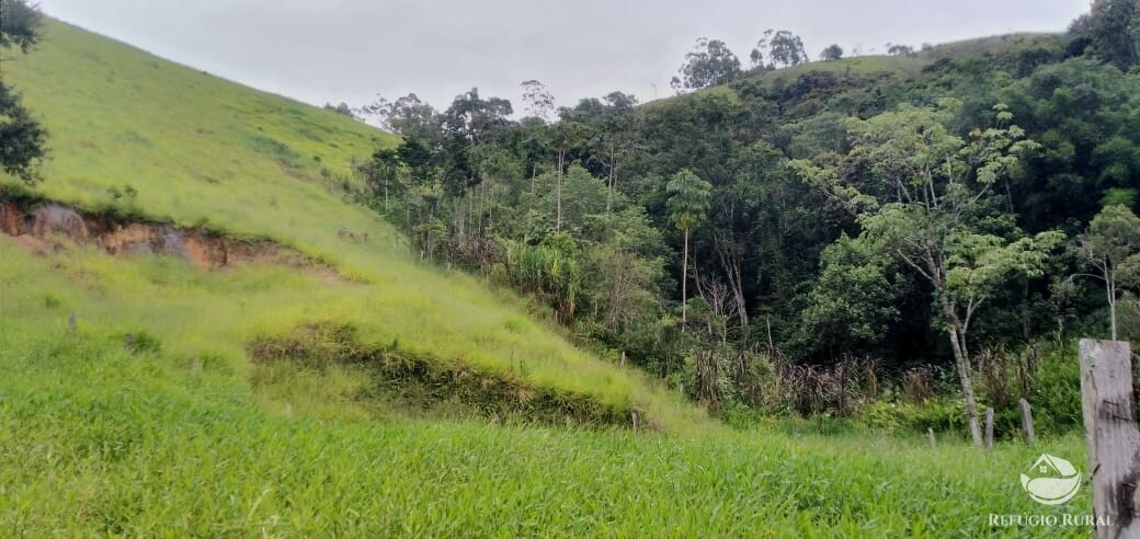 Terreno à venda, 22000m² - Foto 10