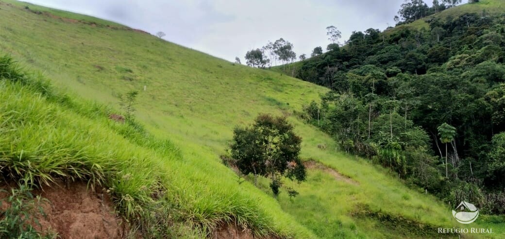 Terreno à venda, 22000m² - Foto 24