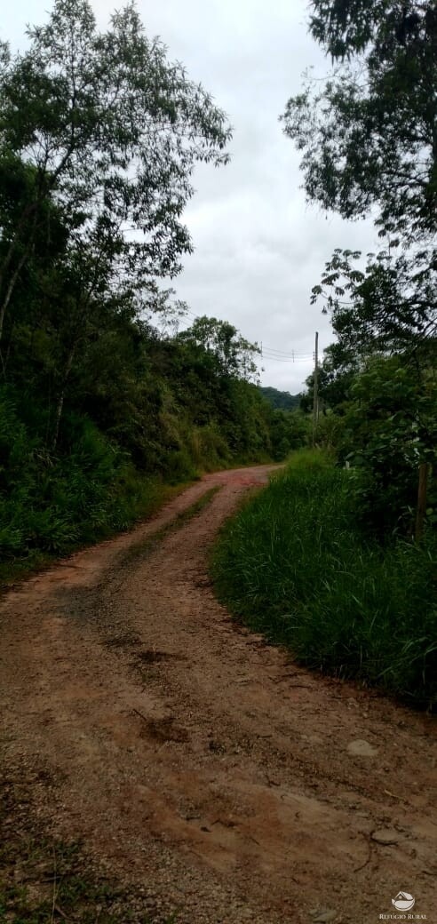 Terreno à venda, 22000m² - Foto 8