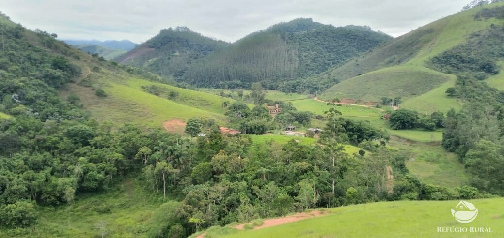 Terreno à venda, 22000m² - Foto 2