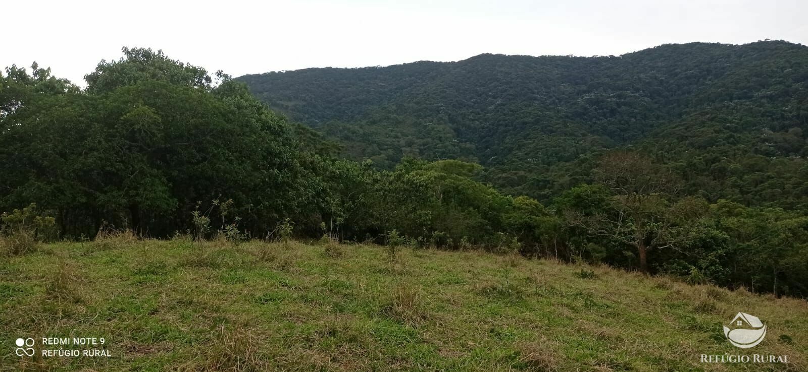 Fazenda à venda, 145200m² - Foto 7