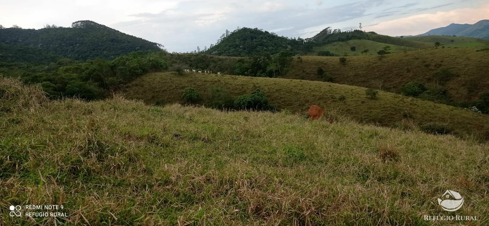 Fazenda à venda, 145200m² - Foto 42