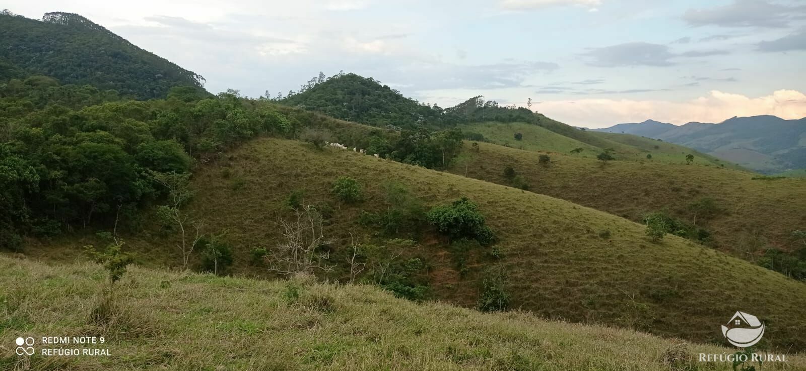 Fazenda à venda, 145200m² - Foto 34