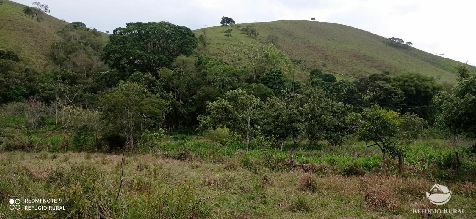 Fazenda à venda, 145200m² - Foto 13