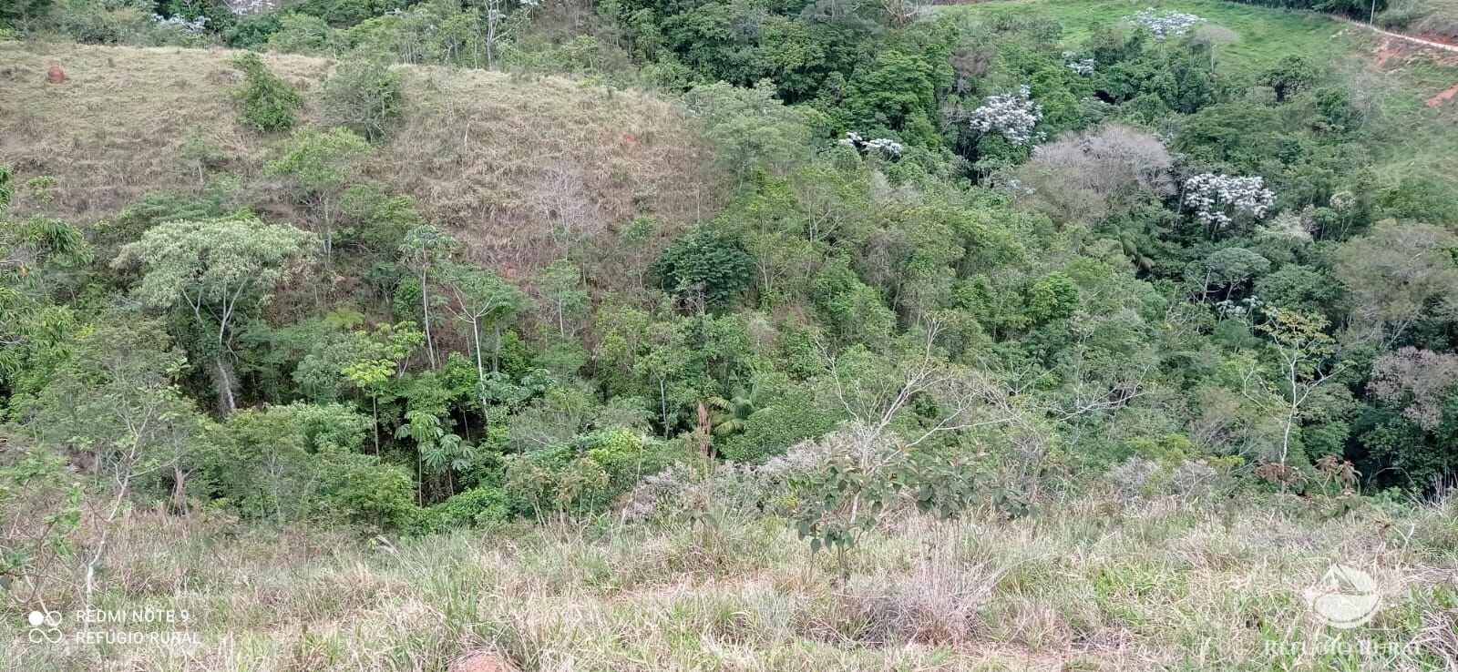 Fazenda à venda, 145200m² - Foto 38