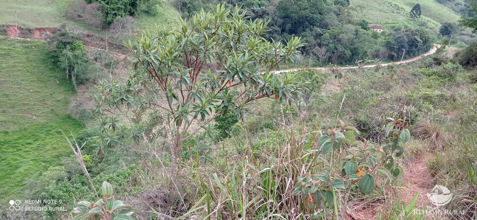 Fazenda à venda, 145200m² - Foto 37