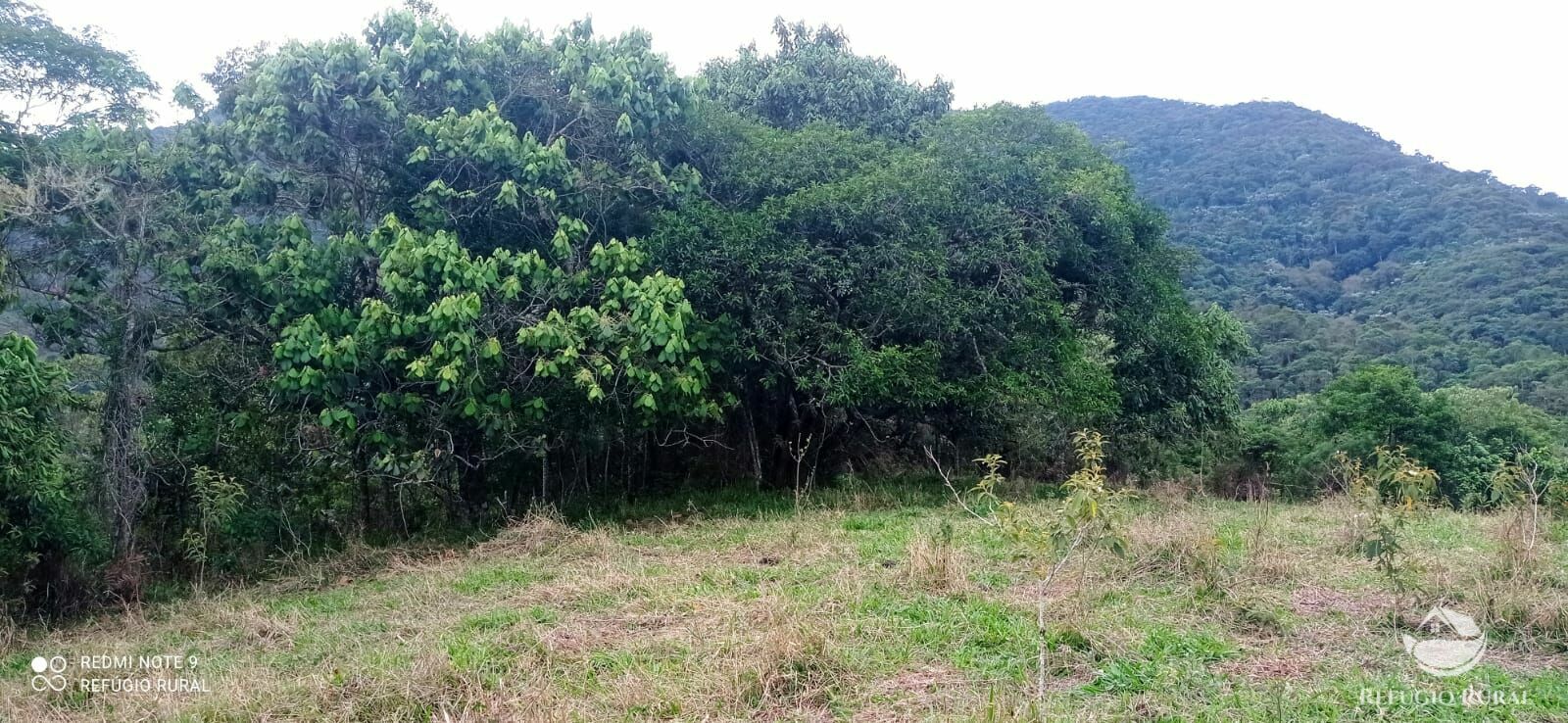 Fazenda à venda, 145200m² - Foto 2