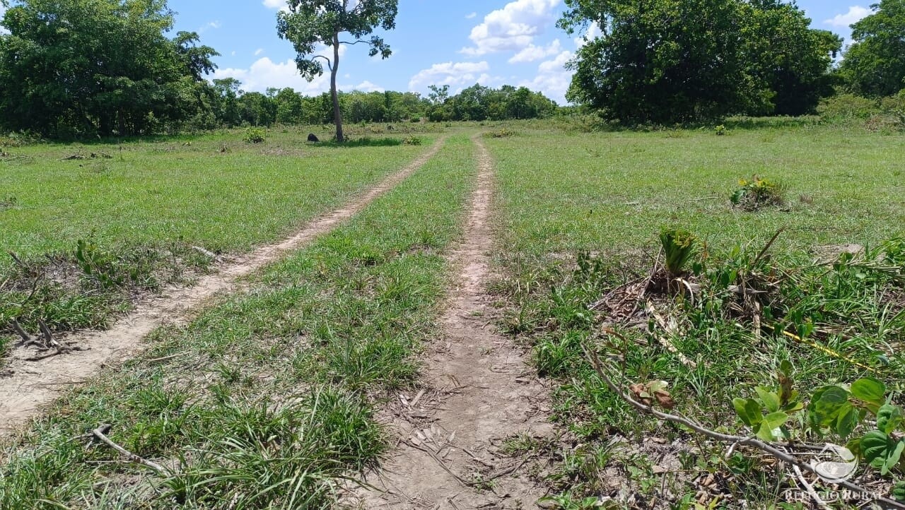 Fazenda à venda com 2 quartos, 9099200m² - Foto 6