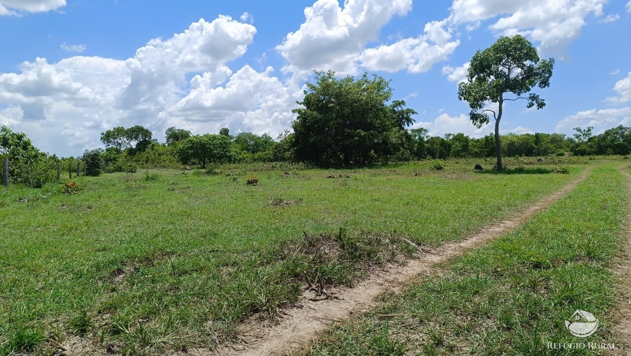 Fazenda à venda com 2 quartos, 9099200m² - Foto 7