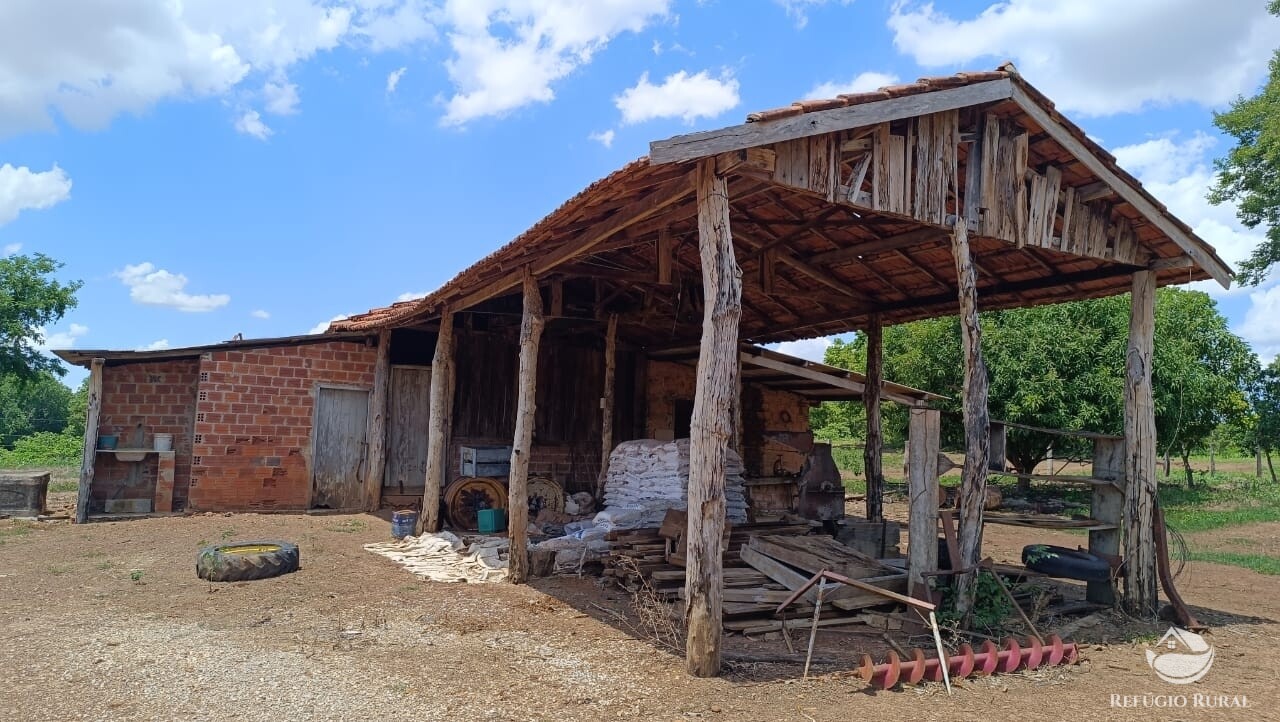 Fazenda à venda com 2 quartos, 9099200m² - Foto 4