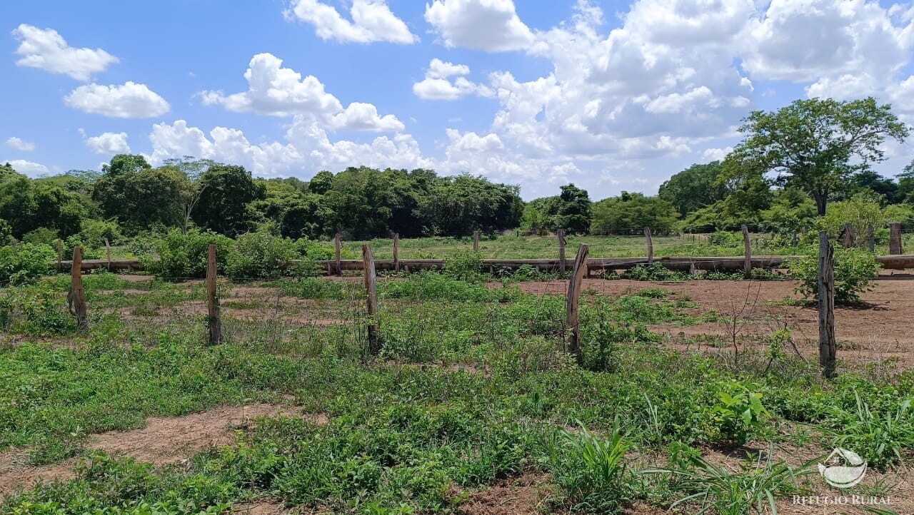 Fazenda à venda com 2 quartos, 9099200m² - Foto 2