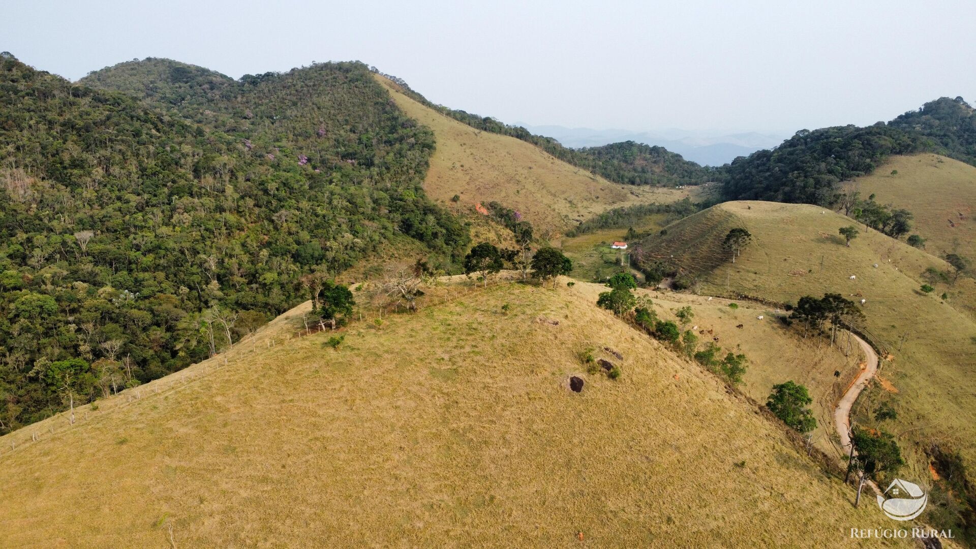 Terreno à venda, 24200m² - Foto 21