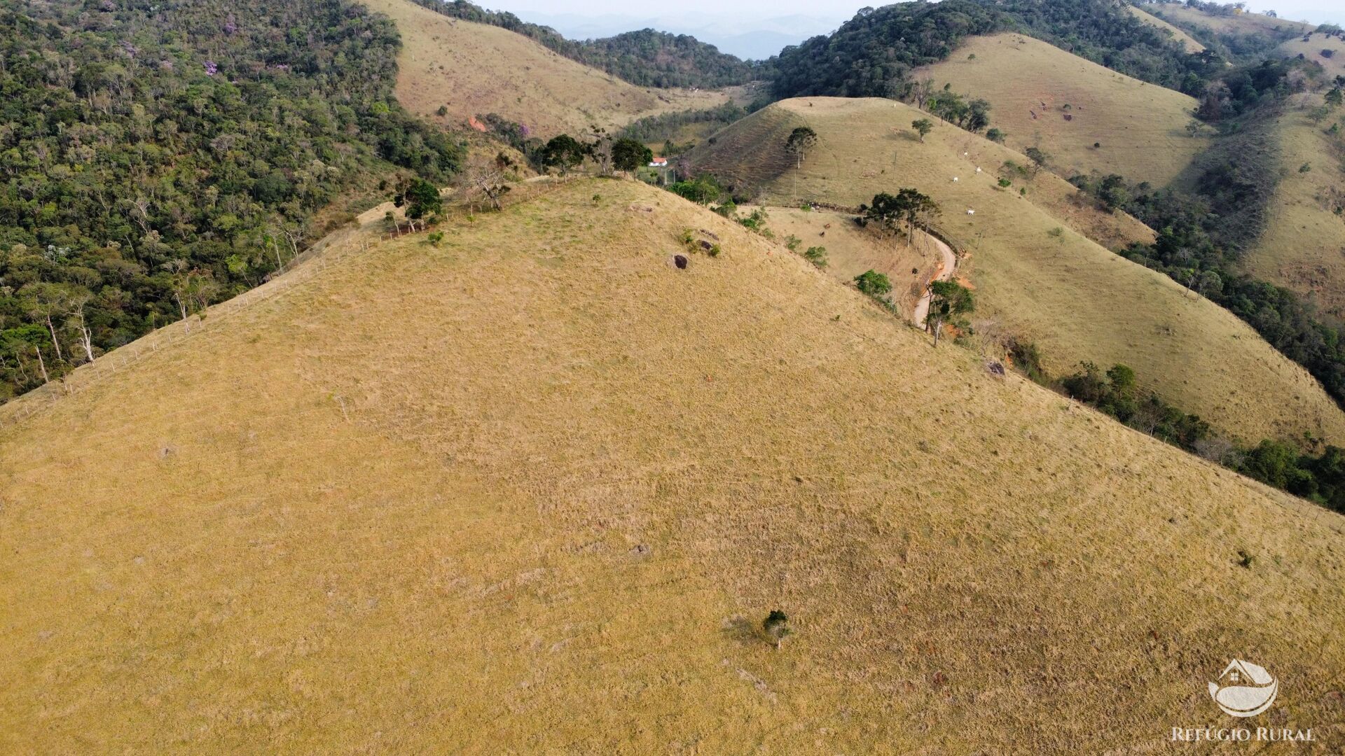 Terreno à venda, 24200m² - Foto 34