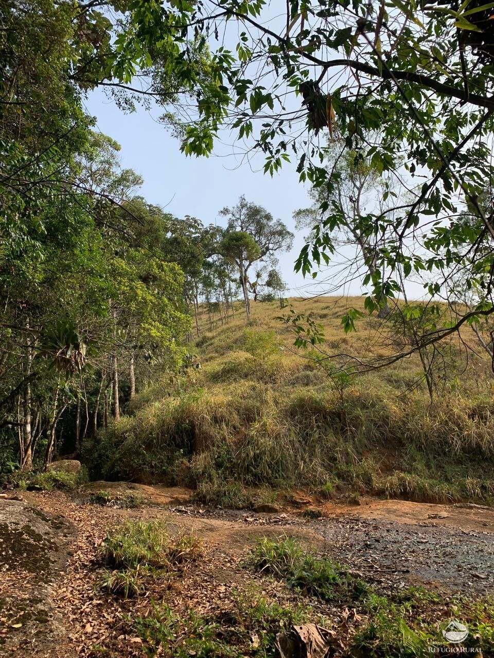 Terreno à venda, 24200m² - Foto 10