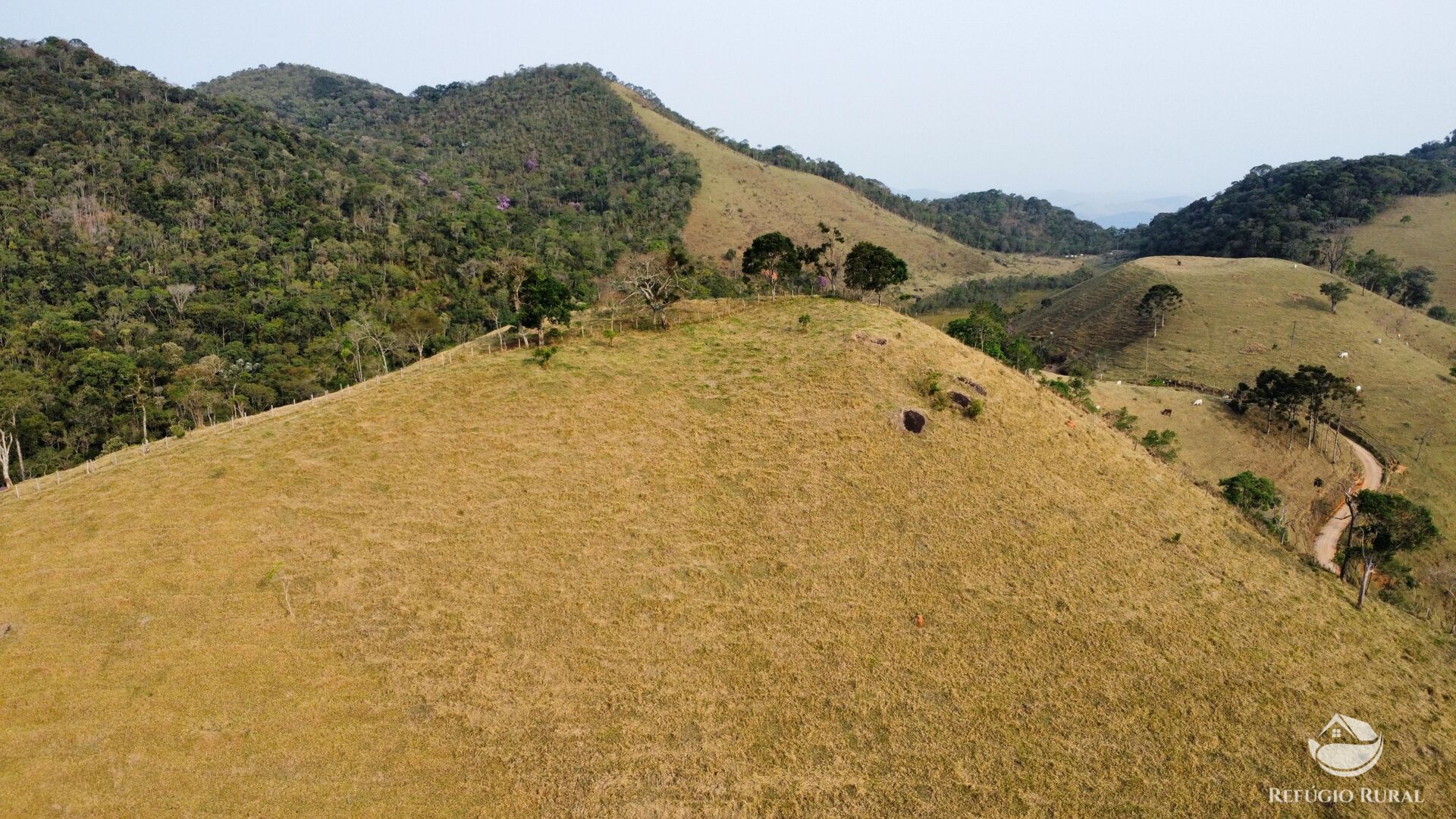 Terreno à venda, 24200m² - Foto 19