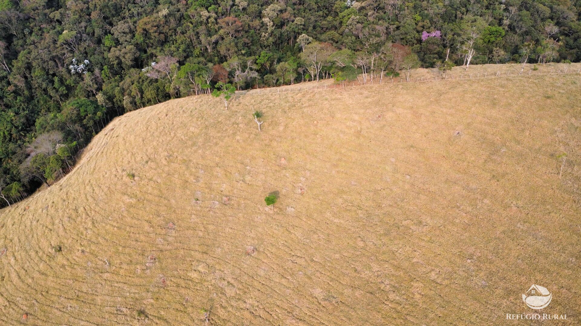 Terreno à venda, 24200m² - Foto 31