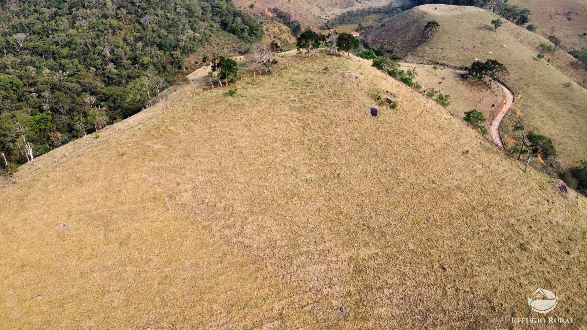 Terreno à venda, 24200m² - Foto 7