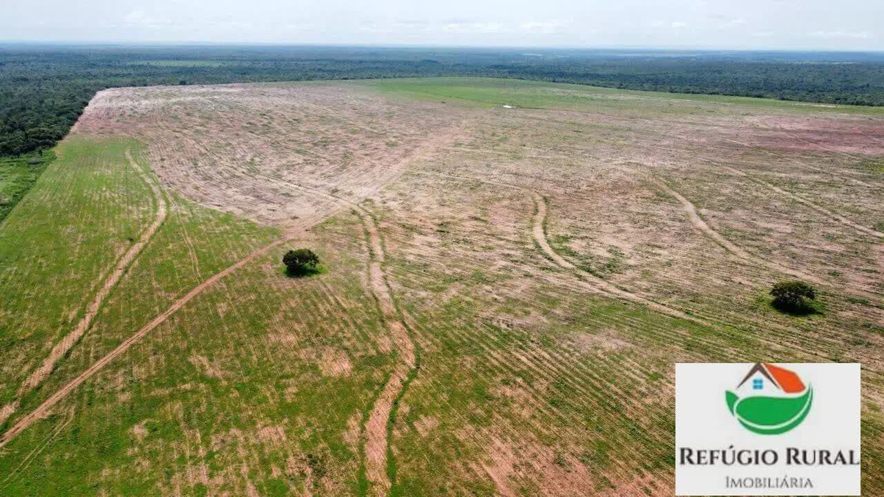 Fazenda à venda com 2 quartos, 27442800m² - Foto 5